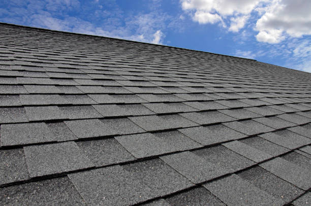 Best Roof Insulation Installation  in USA